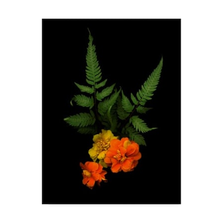 Susan S. Barmon 'Ferns And Marigolds' Canvas Art,35x47